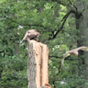 Meet your Posher, Rob